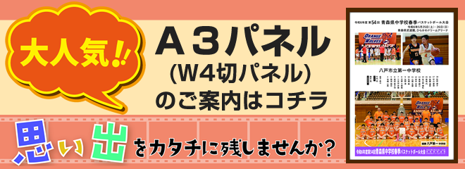 大人気A3パネル（W4切パネル）