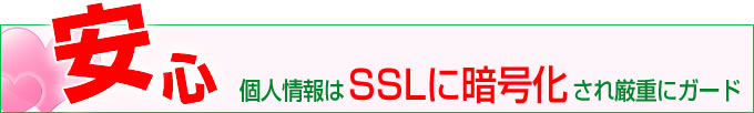 個人情報はSSLに暗号化され厳重にガード